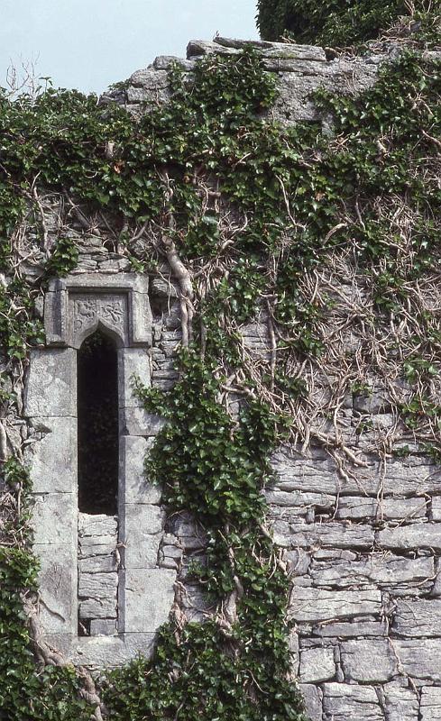 RWT 0321 341-30 Ireland.jpg